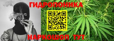 шишки Рязань