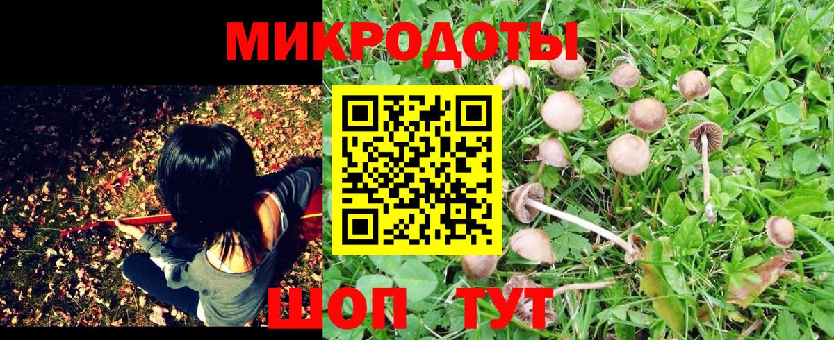 Отрадный  Псилоцибиновые грибы мухоморы  Галлюциногенные грибы Psilocybine cubensis  Вход с VPN 